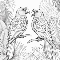 Pastel Scenery, Coloring Pages To Print, Bird Illustration, Art Sketch, Coloring Sheets, Animal Drawings, Art Lessons, Art Sketches, Parrot