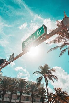 a street sign that reads ocean dr hanging from a pole with palm trees in the background