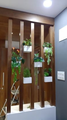 a wall mounted planter filled with lots of green plants