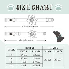 the size chart for an adjustable collar and leash with measurements to choose from, which one is