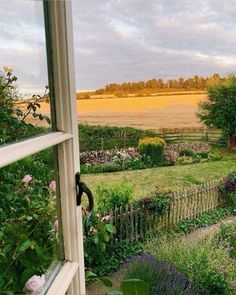 an open window looking out onto a garden and field from inside the house, with pink roses in the foreground