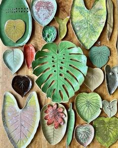 various leaf shaped plates are arranged on a table