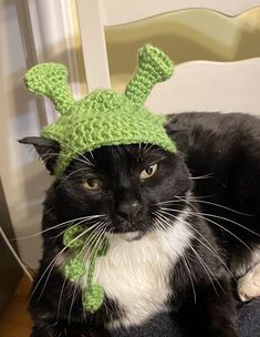 a black and white cat wearing a green knitted hat with horns on it's head