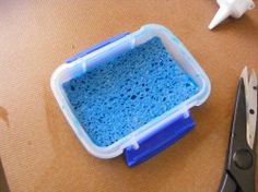 a blue sponge in a plastic container next to scissors