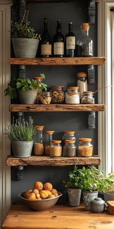 a shelf filled with lots of different types of spices and herbs next to potted plants