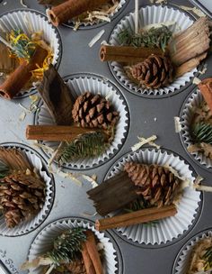 cupcake tins filled with cinnamon sticks and pine cones