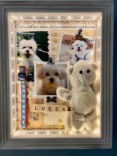 a teddy bear and two white dogs in a shadow box with lights around the frame