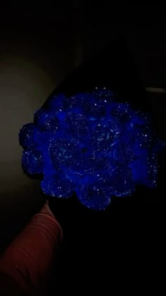 a person holding a blue flower in the dark