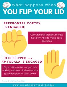 an info sheet describing how to help you flip your lid in order to get the best results