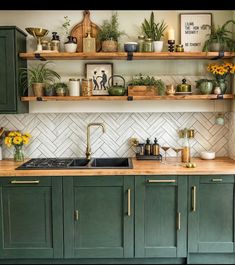 a kitchen with green cabinets and shelves filled with potted plants on top of them