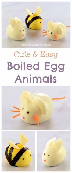 the instructions for how to make cute and easy boiled egg animals