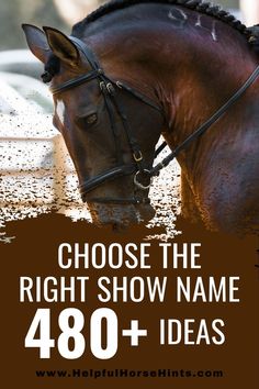 a brown horse with the words choose the right show name 480 + ideas on it