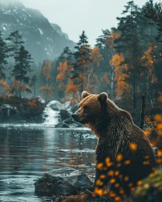 a brown bear sitting on top of a rock next to a river