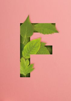 the letter f is made up of leaves on a pink background with a green leaf