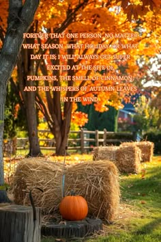 a pumpkin sitting on top of a pile of hay next to a tree