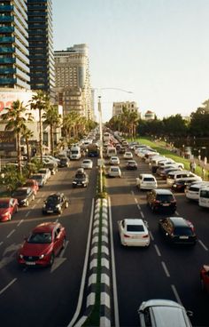 many cars are driving down the street in front of high rise buildings and palm trees