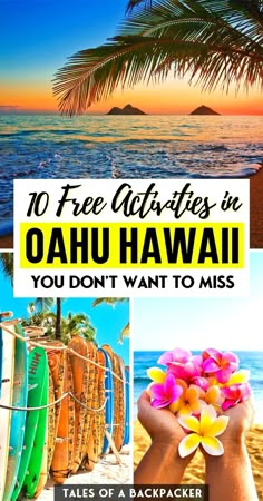 the beach with surfboards and palm trees in front of it, text reads 10 free activities in oahuu hawaii you don't want to miss