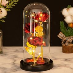 red and yellow flowers under a glass dome