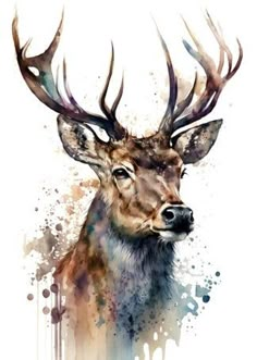 a painting of a deer with antlers on it's head