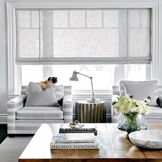 a living room with two couches and a coffee table in front of a window