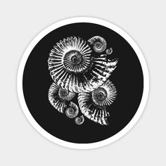 an abstract black and white image of shells on a round plate with the words,'sea shell art '