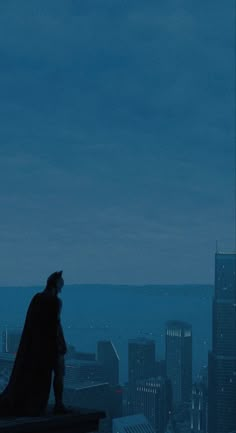 a man standing on top of a tall building next to a cityscape at night