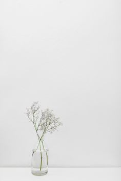 a vase with some flowers in it on a white counter top next to a wall