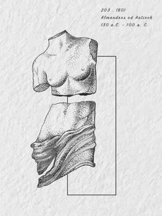 an image of the breast and chest with measurements for each section, including two sections