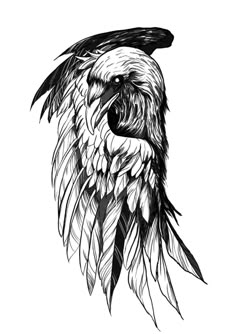 an eagle's head with feathers drawn in black and white on a white background