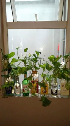 a window sill filled with lots of bottles and plants