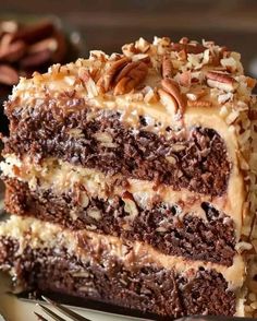 a slice of chocolate cake on a plate with a fork and some pecans in the background