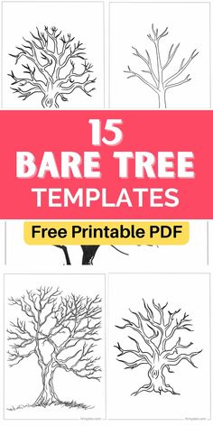 the 15 bare tree templates for kids to color