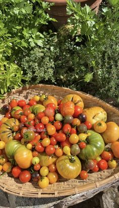 a basket filled with lots of different types of tomatoes