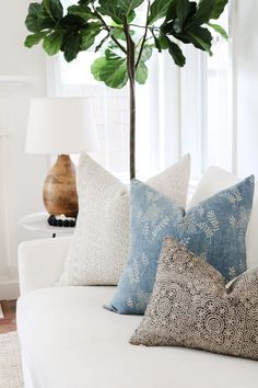 a white couch with pillows and a potted plant