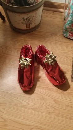 pair of red shoes sitting on top of a wooden floor next to a potted plant