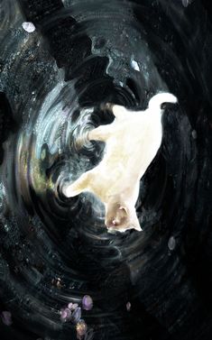 a white cat is in the middle of a black and white swirl with bubbles around it