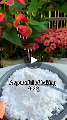 a person is holding a spoon in a bowl filled with white powder and flowers behind them