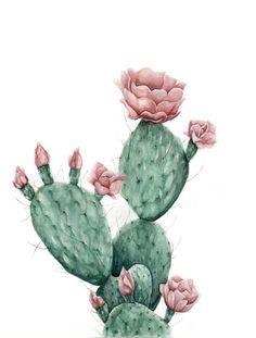 a drawing of a cactus with pink flowers