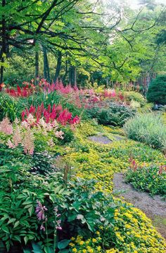 the garden is full of colorful flowers and trees