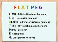 a poster with the words flat peg written in different colors and sizes on it