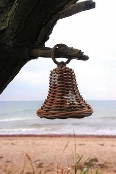 a bird feeder hanging from a tree on the beach