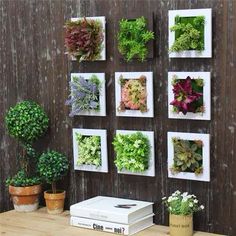 a wooden table topped with lots of different types of flowers and plants in white frames