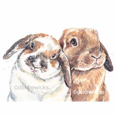 two brown and white rabbits with their faces close to each other, one is looking at the camera