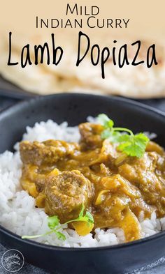 Lamb Curry Recipes Easy, Lamb Curry With Coconut Milk, Curry Lamb Recipes, Dopiaza Recipe, Indian Lamb Curry, Curry Lamb, Lamb Curry Recipes, Mild Curry