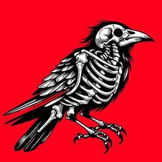 a skeleton bird sitting on top of a red background