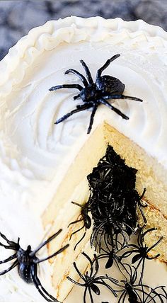 there is a spider on top of the cake and it looks like it's going to be eaten