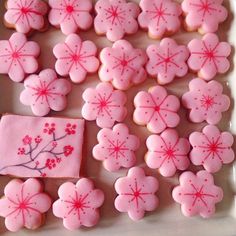 pink decorated cookies are arranged on a white plate