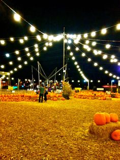 an outdoor event with pumpkins on the ground and lights strung above it at night