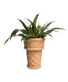 a plant in a clay pot that says care - cup on the front and side