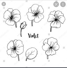 set of hand drawn flowers in black and white colors on a white background with the word violet